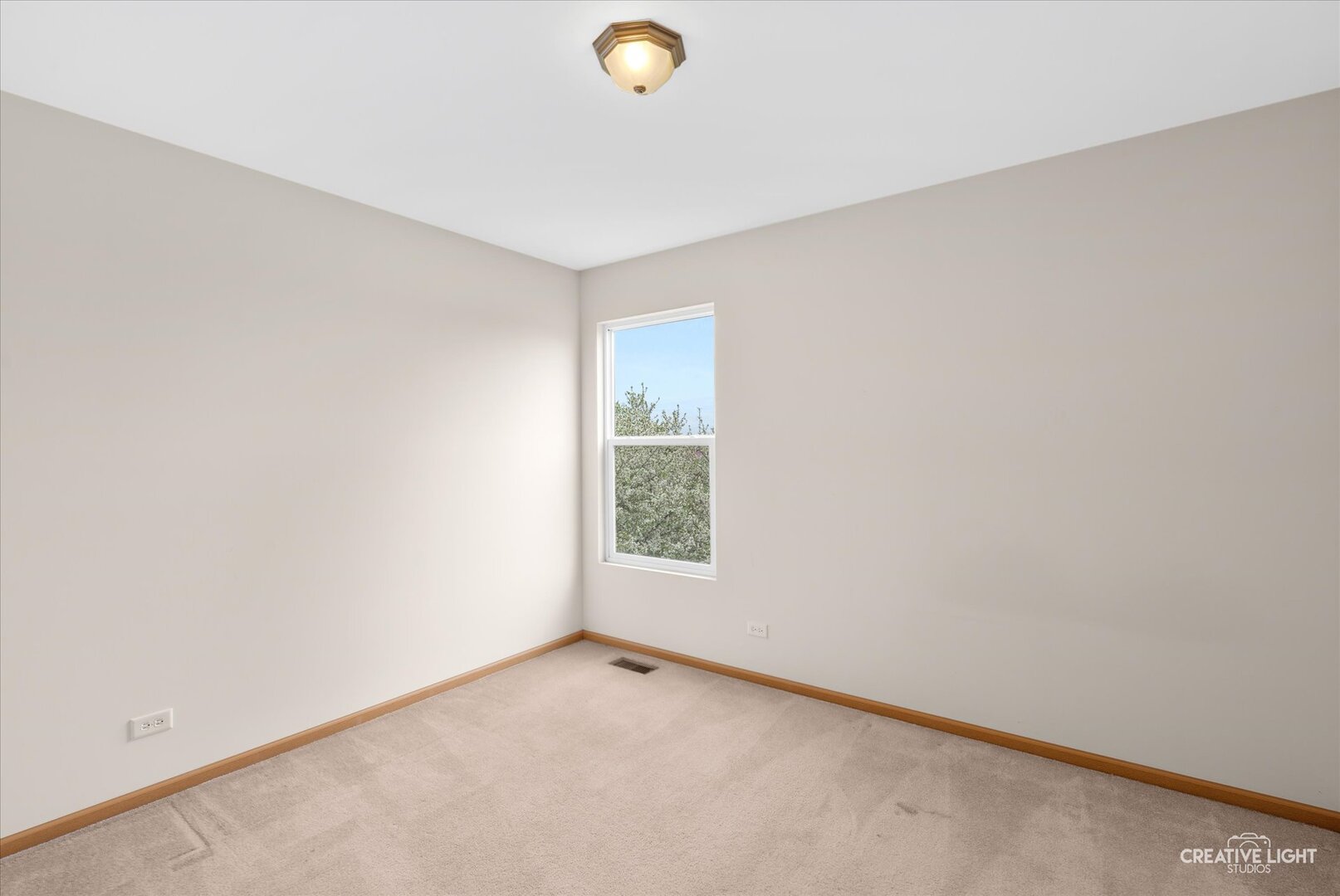 443 Grape Vine Trail, Oswego, IL 60543