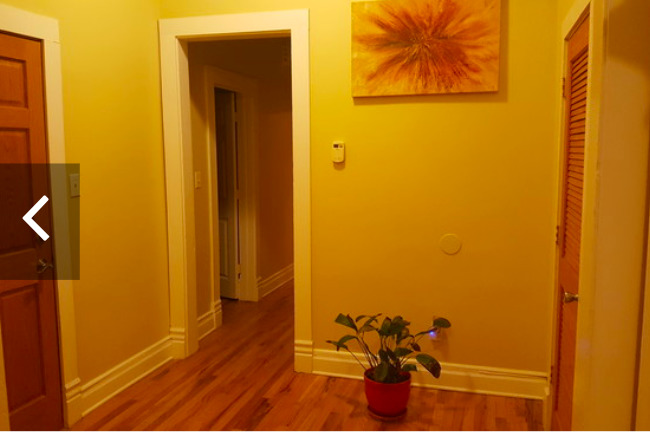 4429 S Calumet Avenue #2, Chicago, IL 60653