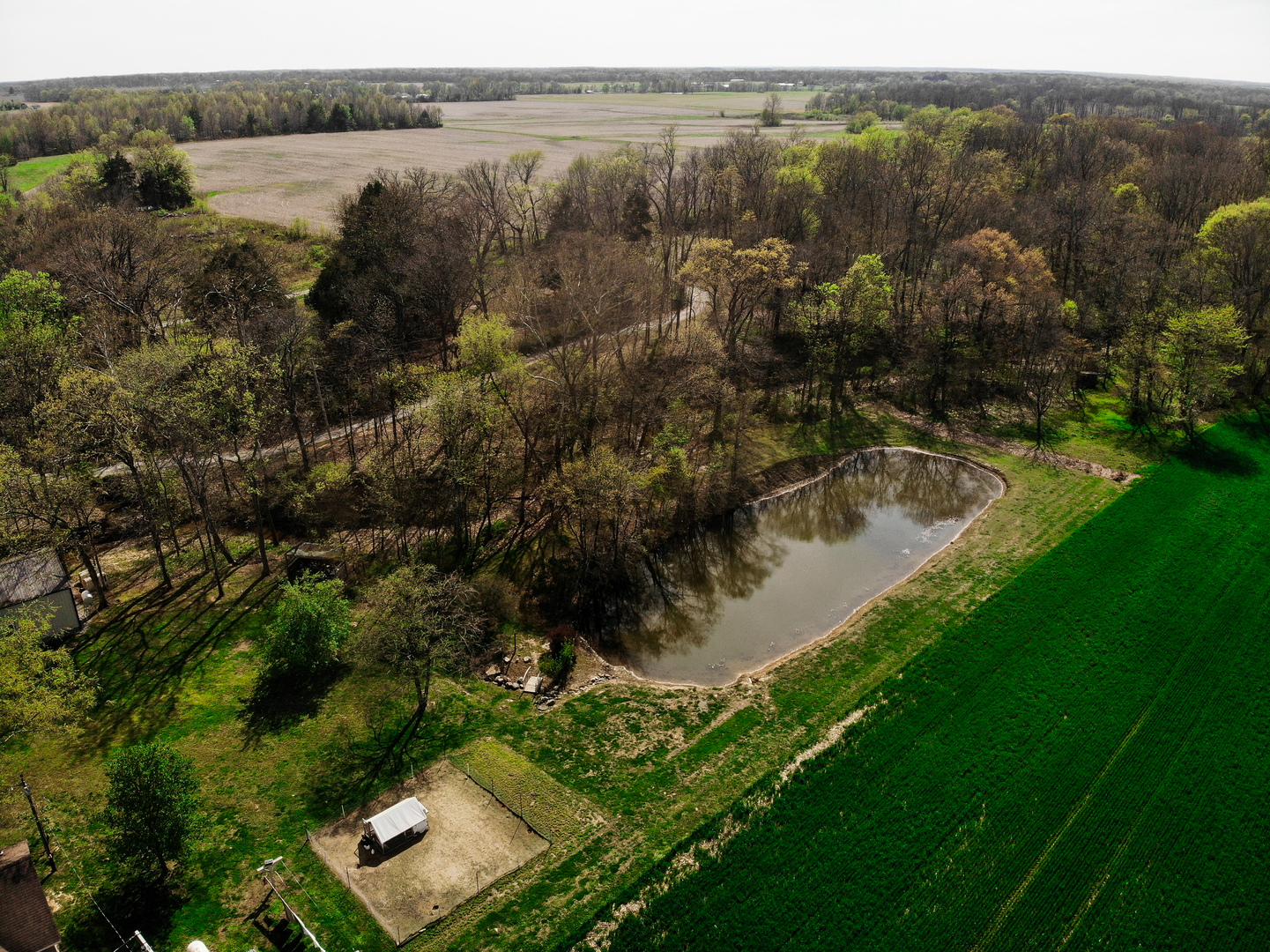 11753 N Log Cabin Lane, Mt Vernon, IL 62864