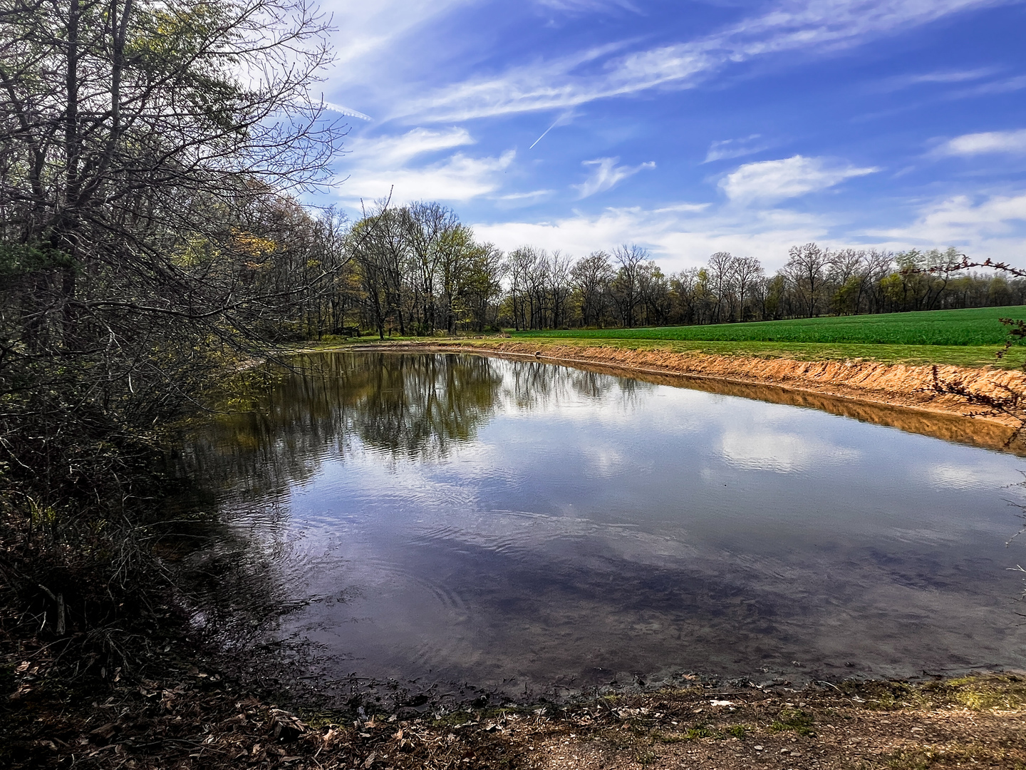 11753 N Log Cabin Lane, Mt Vernon, IL 62864