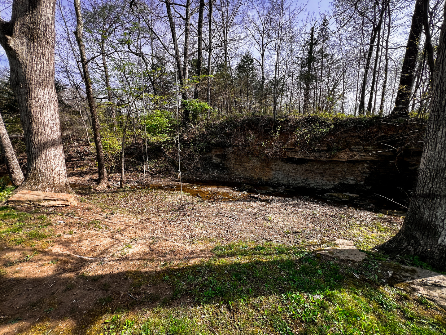 11753 N Log Cabin Lane, Mt Vernon, IL 62864