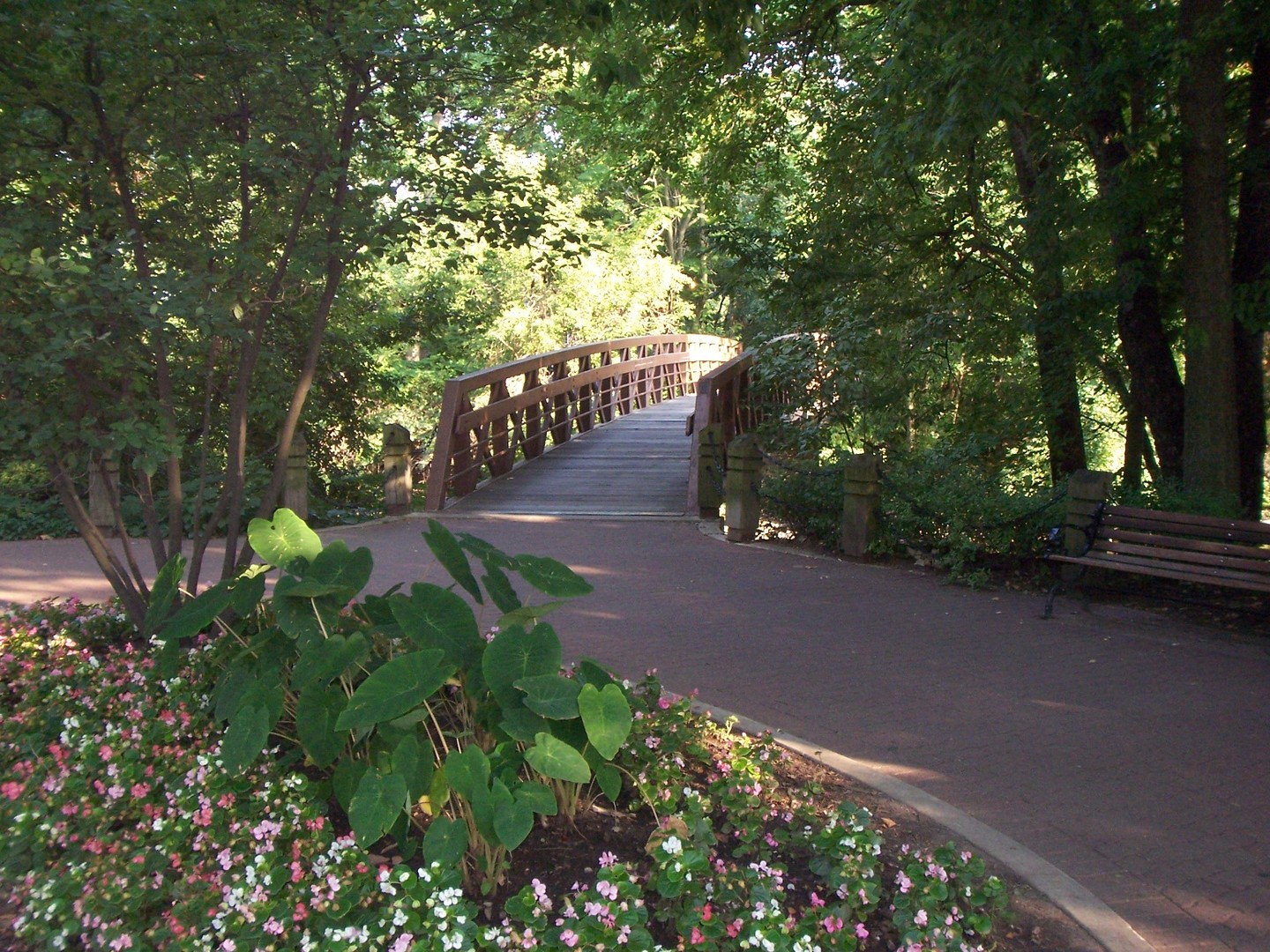 511 Aurora Avenue #507, Naperville, IL 60540