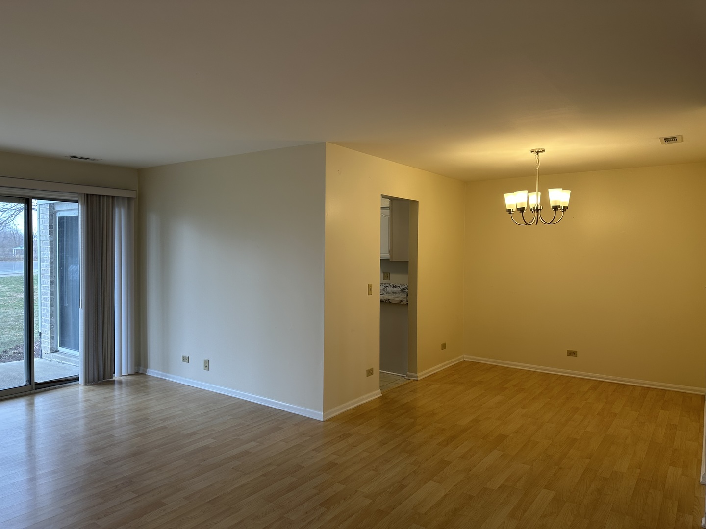 1250 N Streamwood Lane #338, Vernon Hills, IL 60061