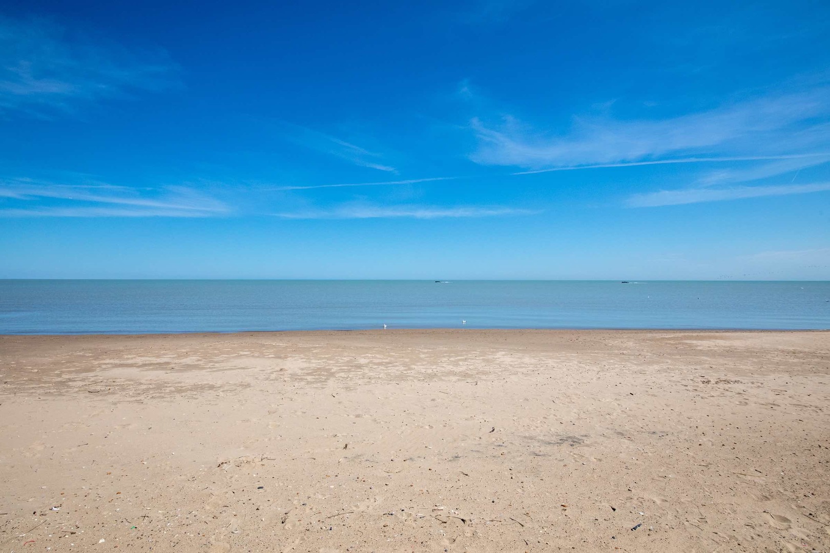 7033 N Sheridan Road #2N, Chicago, IL 60626