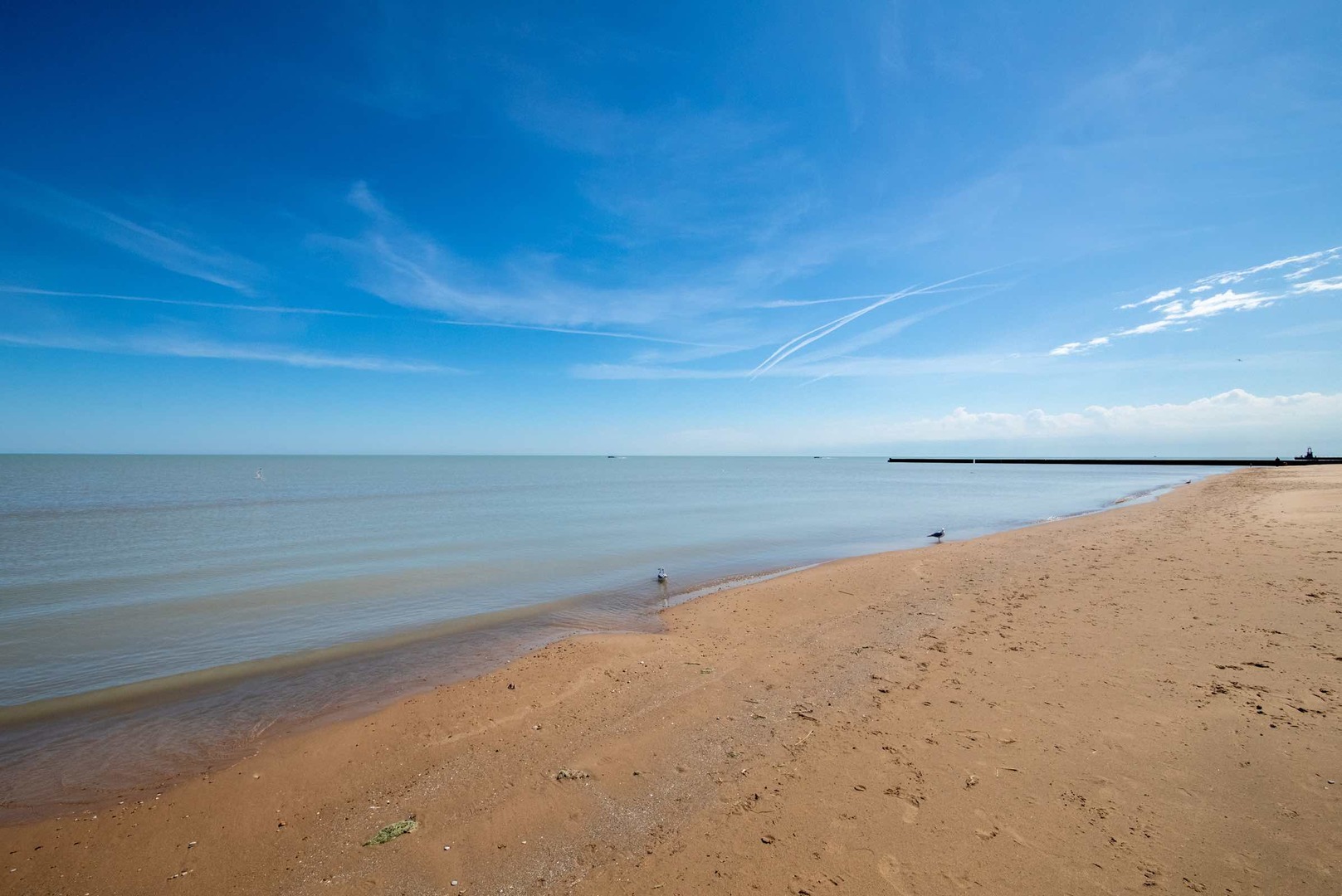 7033 N Sheridan Road #2N, Chicago, IL 60626