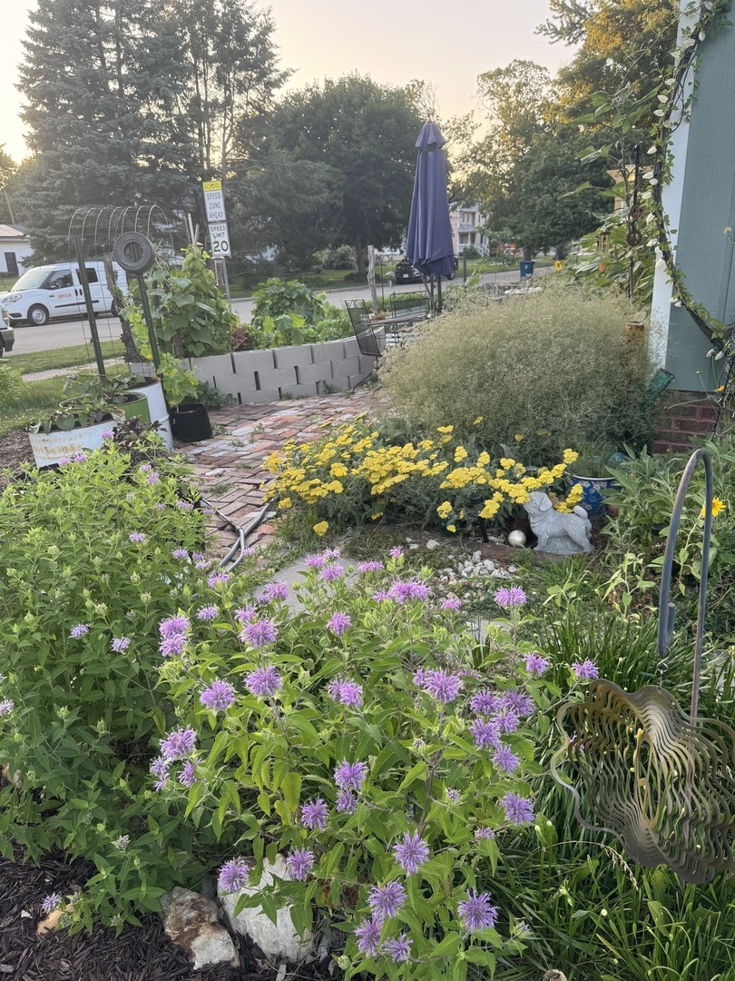 210 6th Street, Mendota, IL 61342