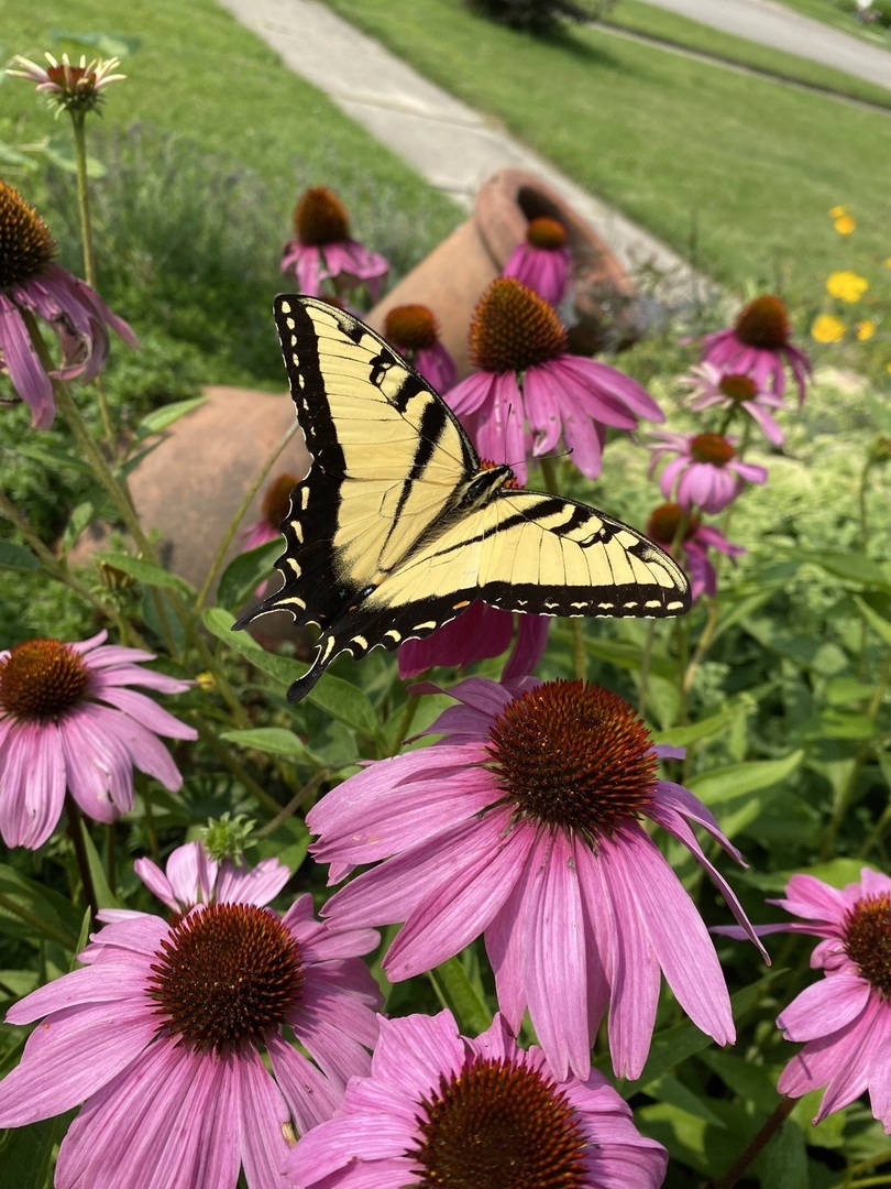 210 6th Street, Mendota, IL 61342