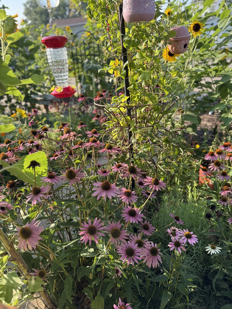 210 6th Street, Mendota, IL 61342