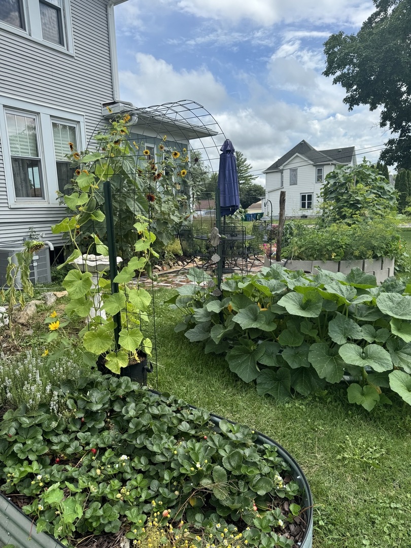 210 6th Street, Mendota, IL 61342