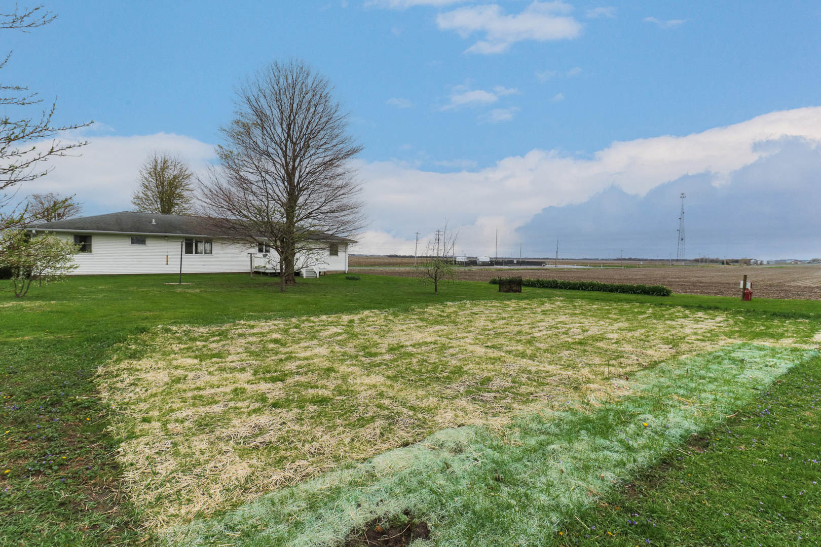 1109 W 4th Street, Delavan, IL 61734