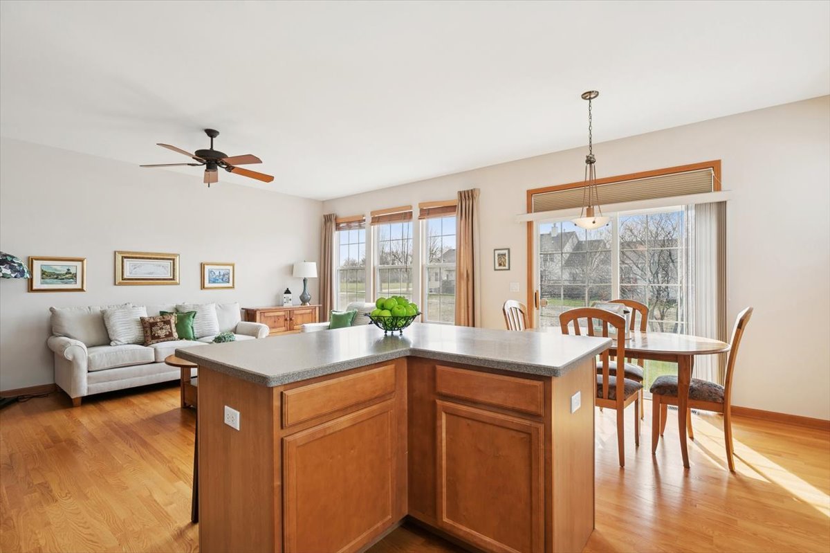 2238 Carillon Drive, Grayslake, IL 60030