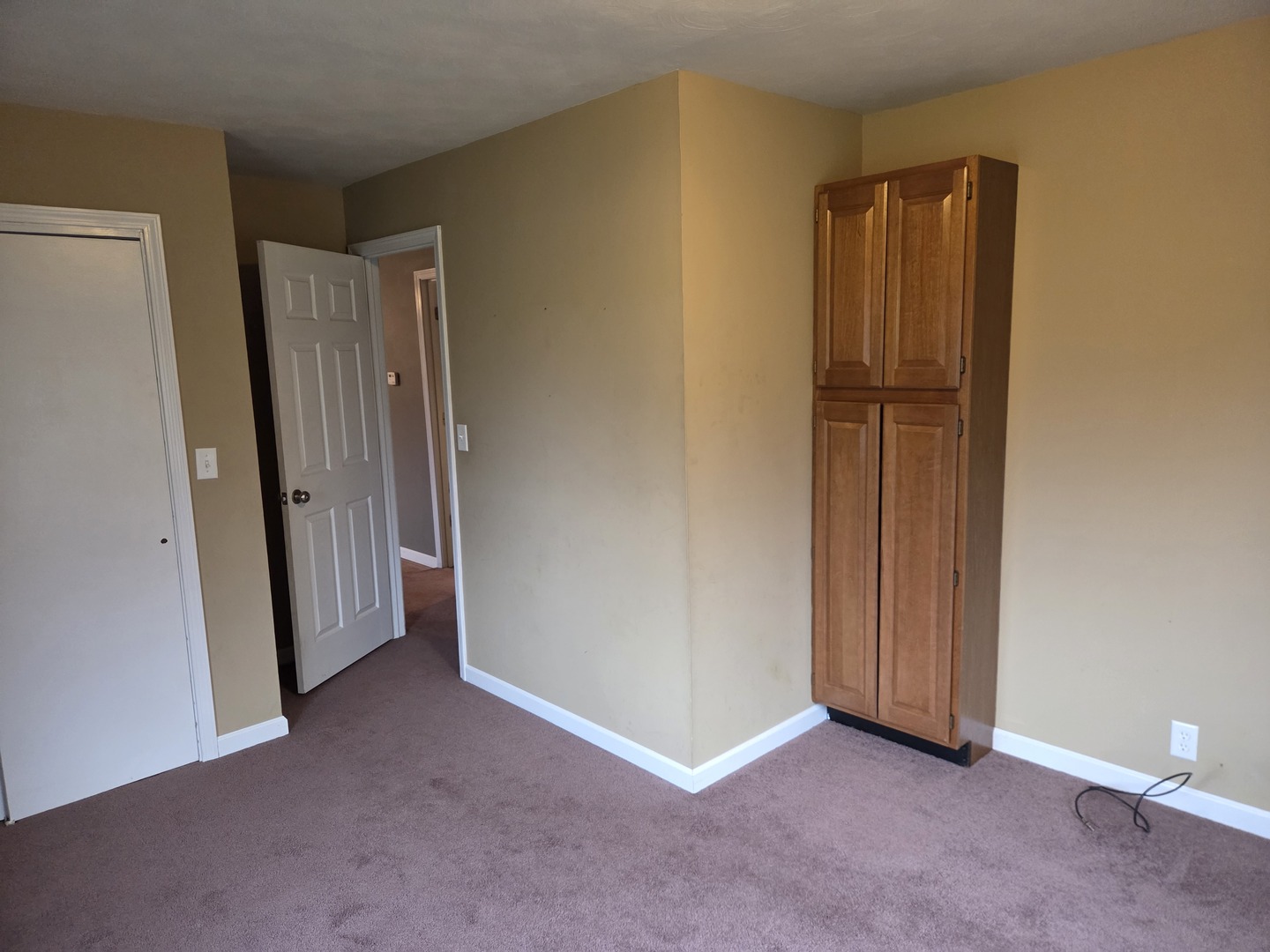 201 E Cleveland Street, Heyworth, IL 61745