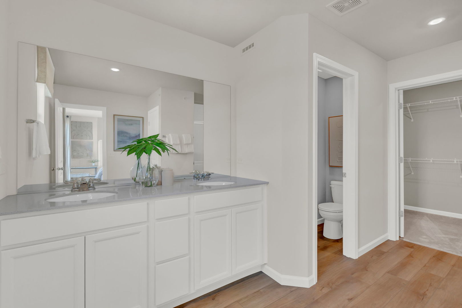 2308 Horseshoe Circle #08902, Naperville, IL 60564