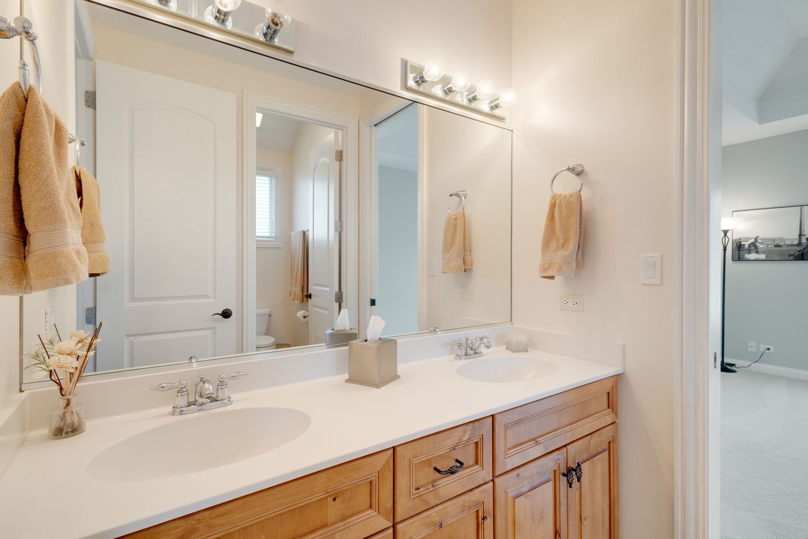 19918 Amberly Court, Mokena, IL 60448