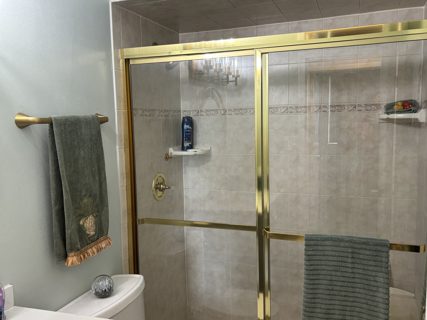 40 N Tower Road #10, Oak Brook, IL 60523