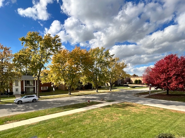 12817 CARRIAGE Lane #1, Crestwood, IL 60418