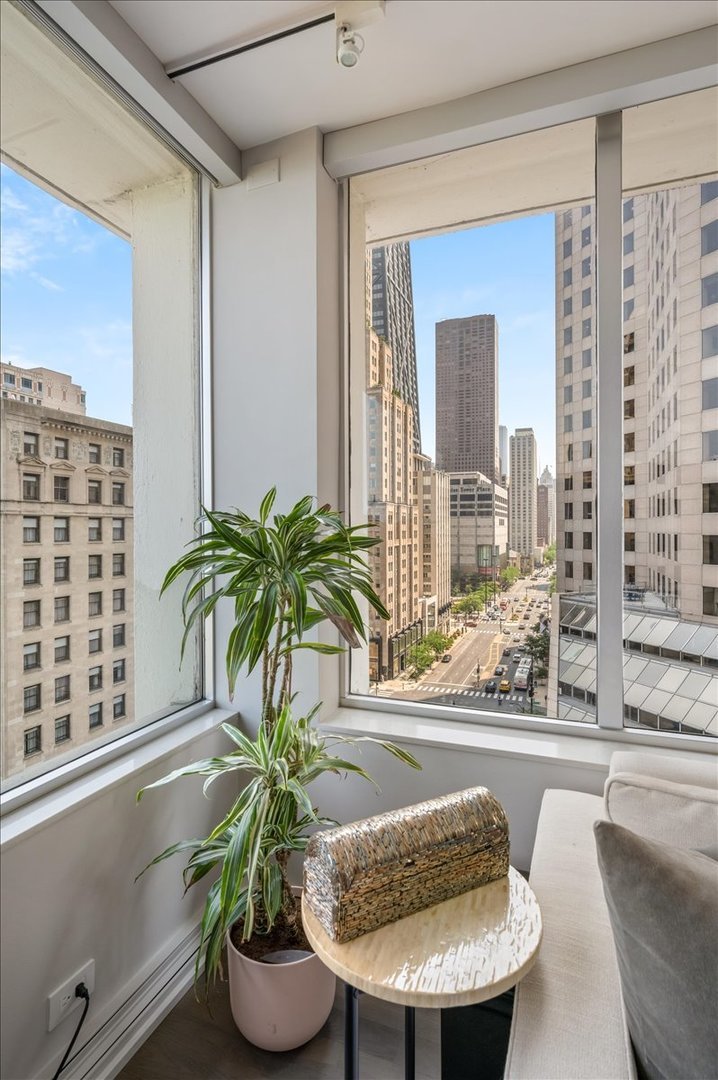 1000 N Lake Shore Plaza #12B, Chicago, IL 60611