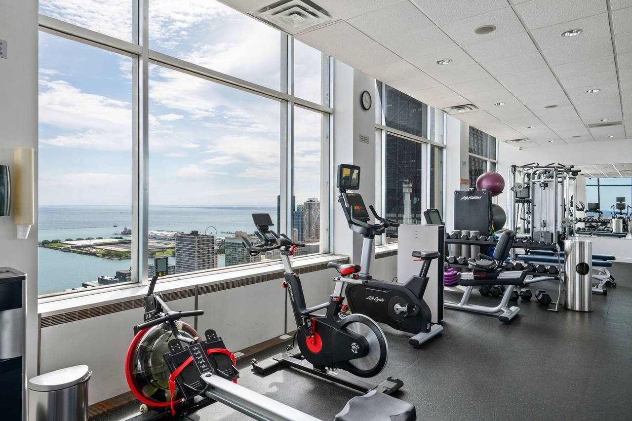 1000 N Lake Shore Plaza #12B, Chicago, IL 60611