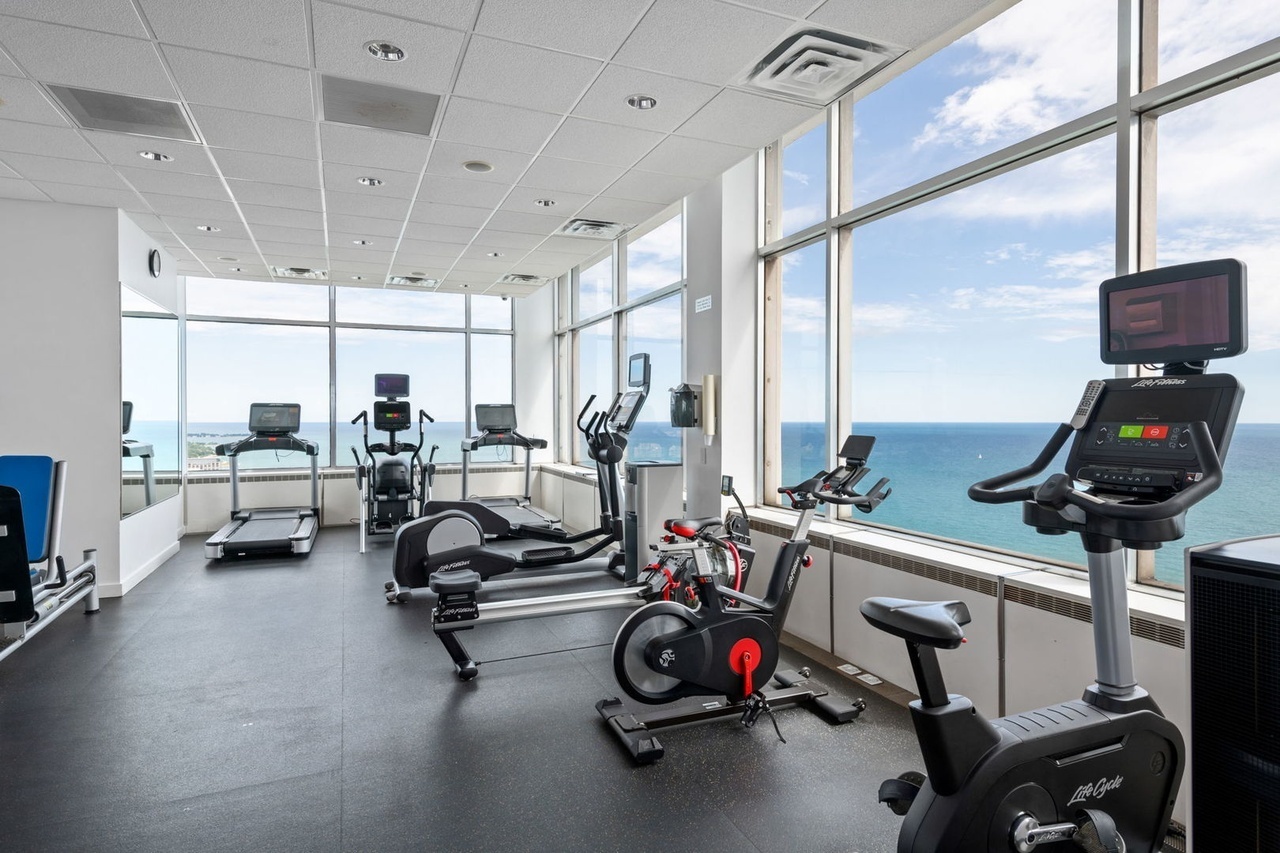 1000 N Lake Shore Plaza #12B, Chicago, IL 60611