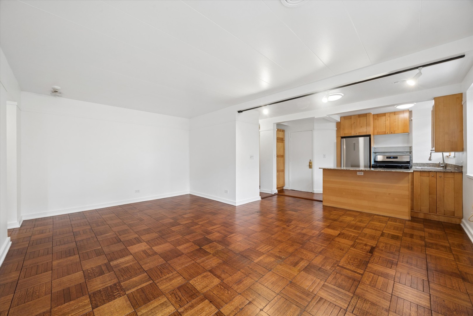 7208 OAK Avenue #2SE, River Forest, IL 60305