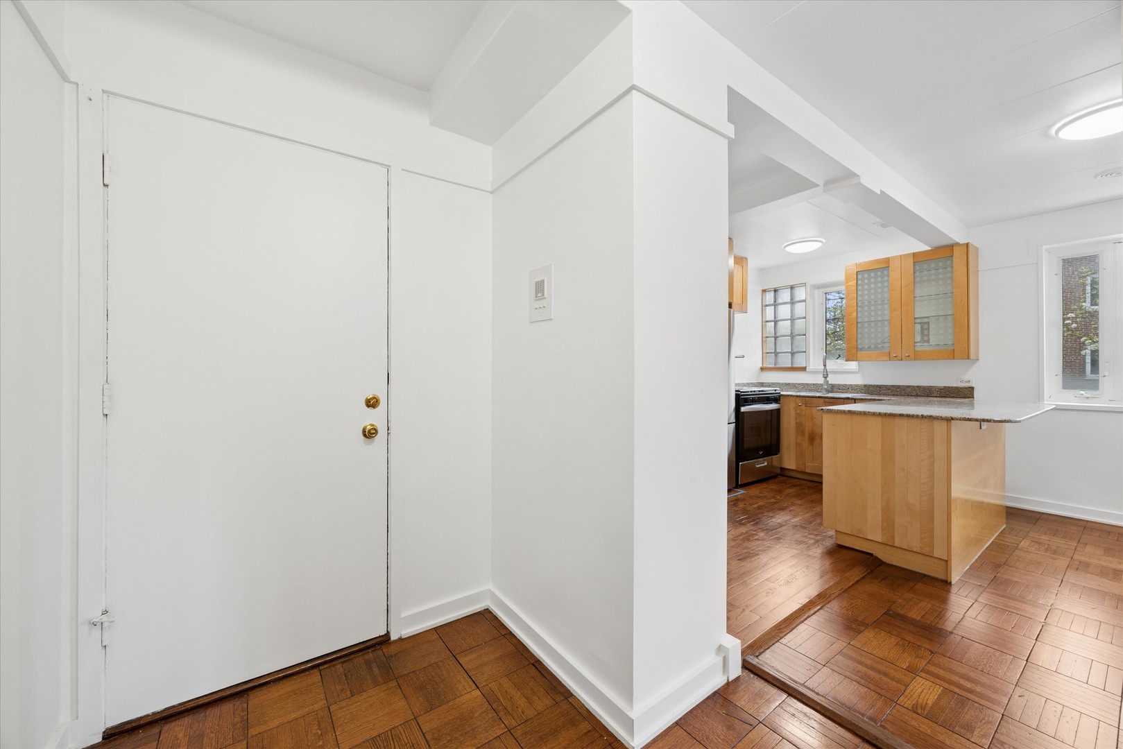 7208 OAK Avenue #2SE, River Forest, IL 60305