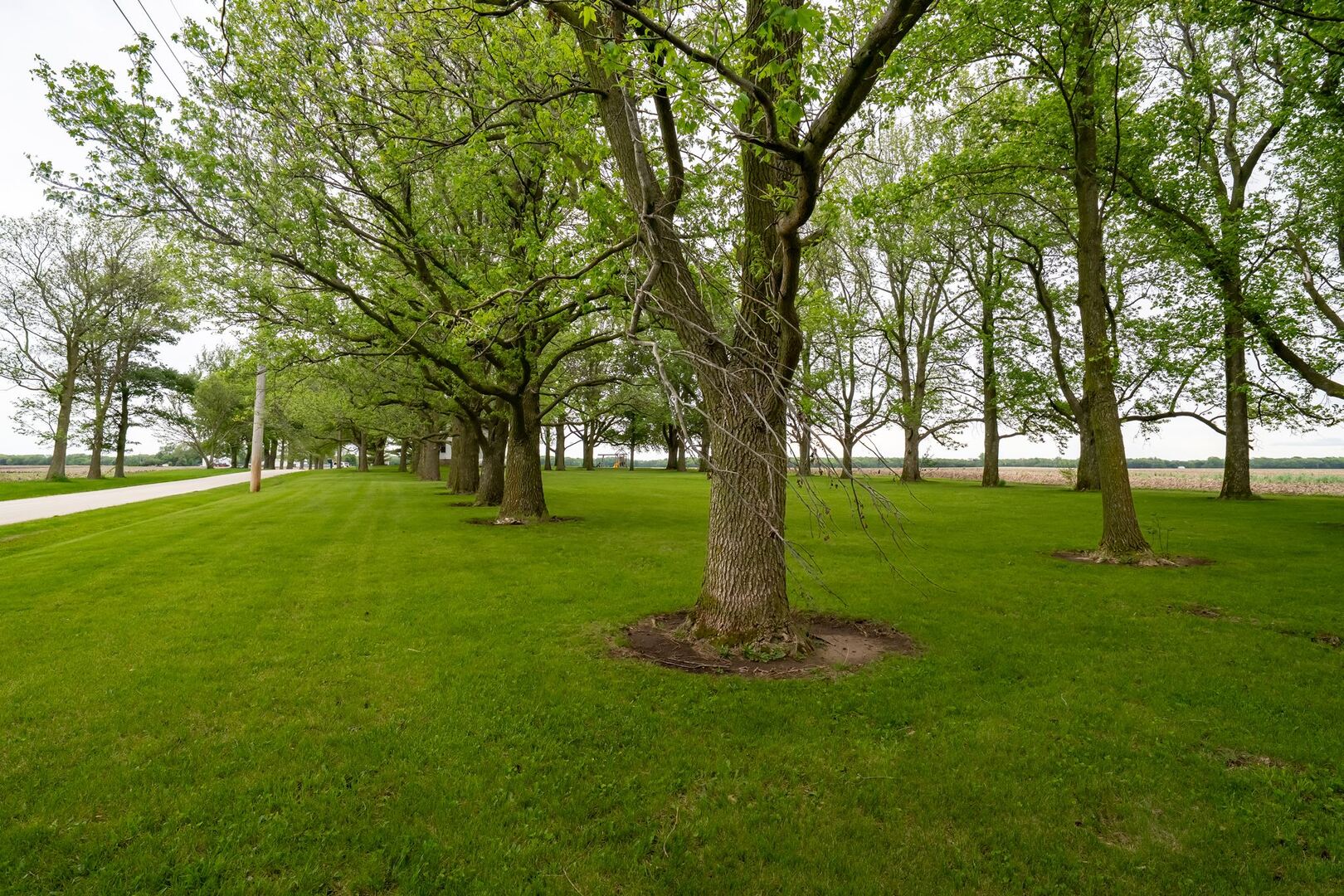 12610 N 1900 East Road, Fairbury, IL 61739
