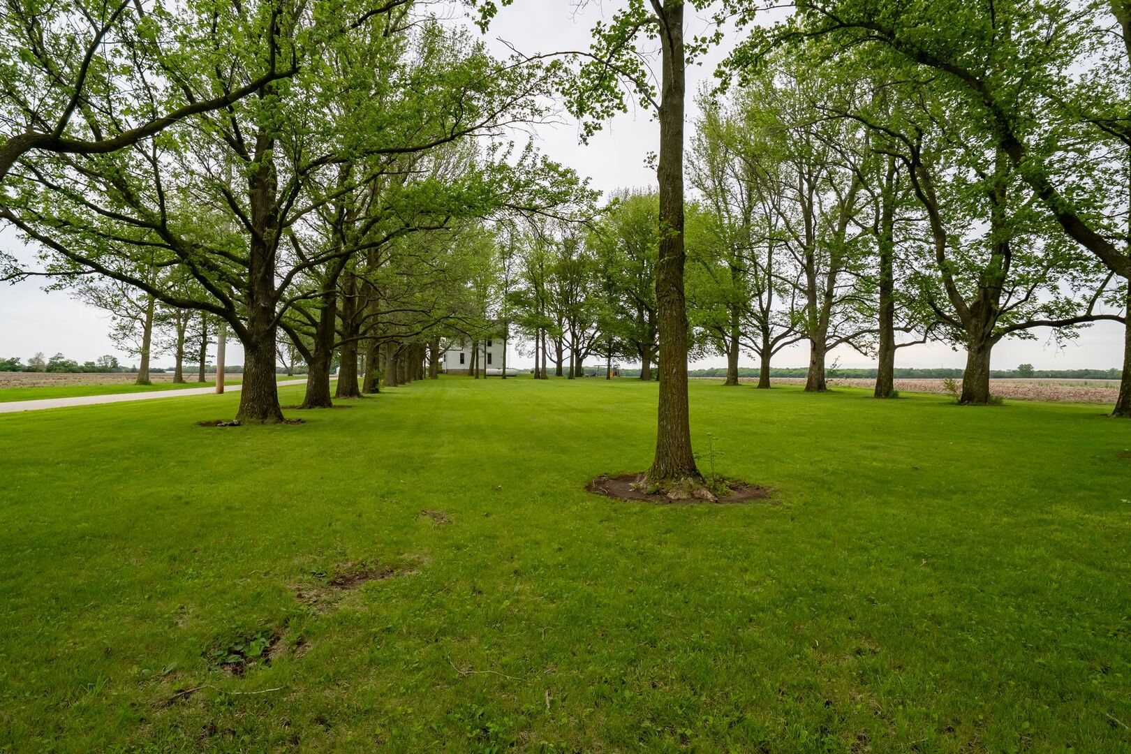 12610 N 1900 East Road, Fairbury, IL 61739