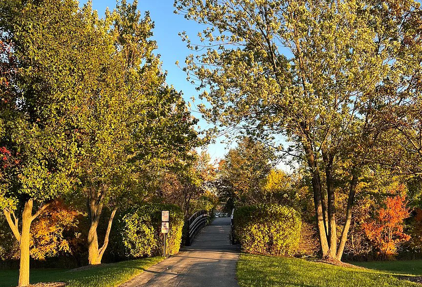 16749 Paxton Avenue #1N, Tinley Park, IL 60477