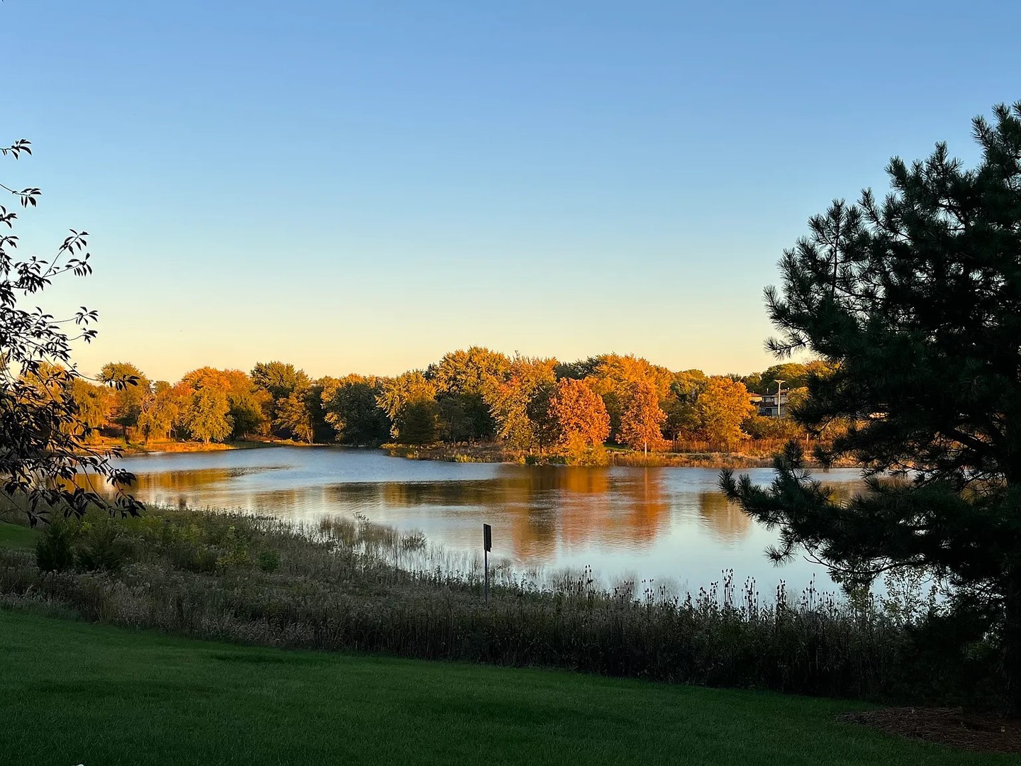 16749 Paxton Avenue #1N, Tinley Park, IL 60477