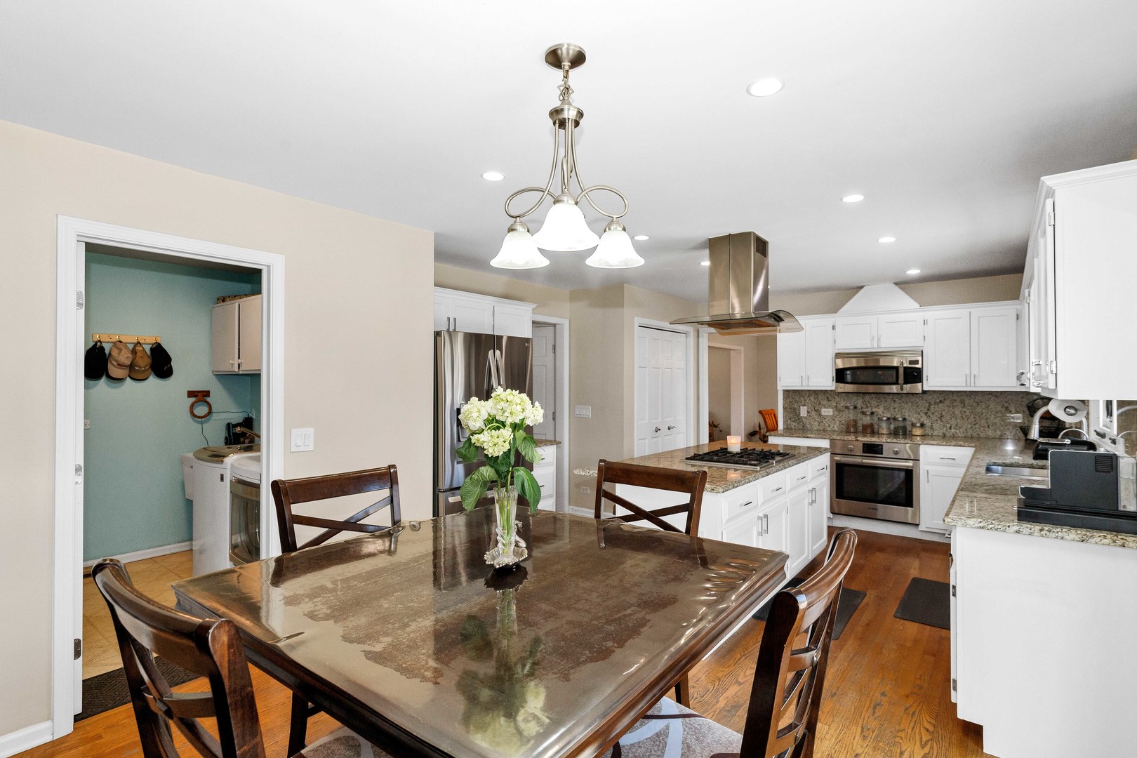 3916 Nighthawk Court, Naperville, IL 60540