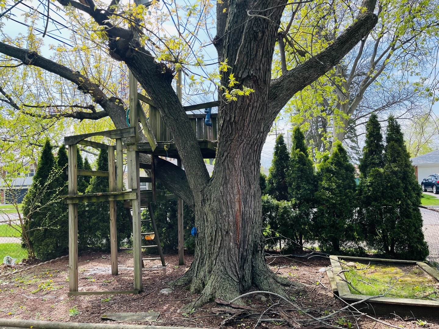 256 W KATHLEEN Drive, Des Plaines, IL 60016