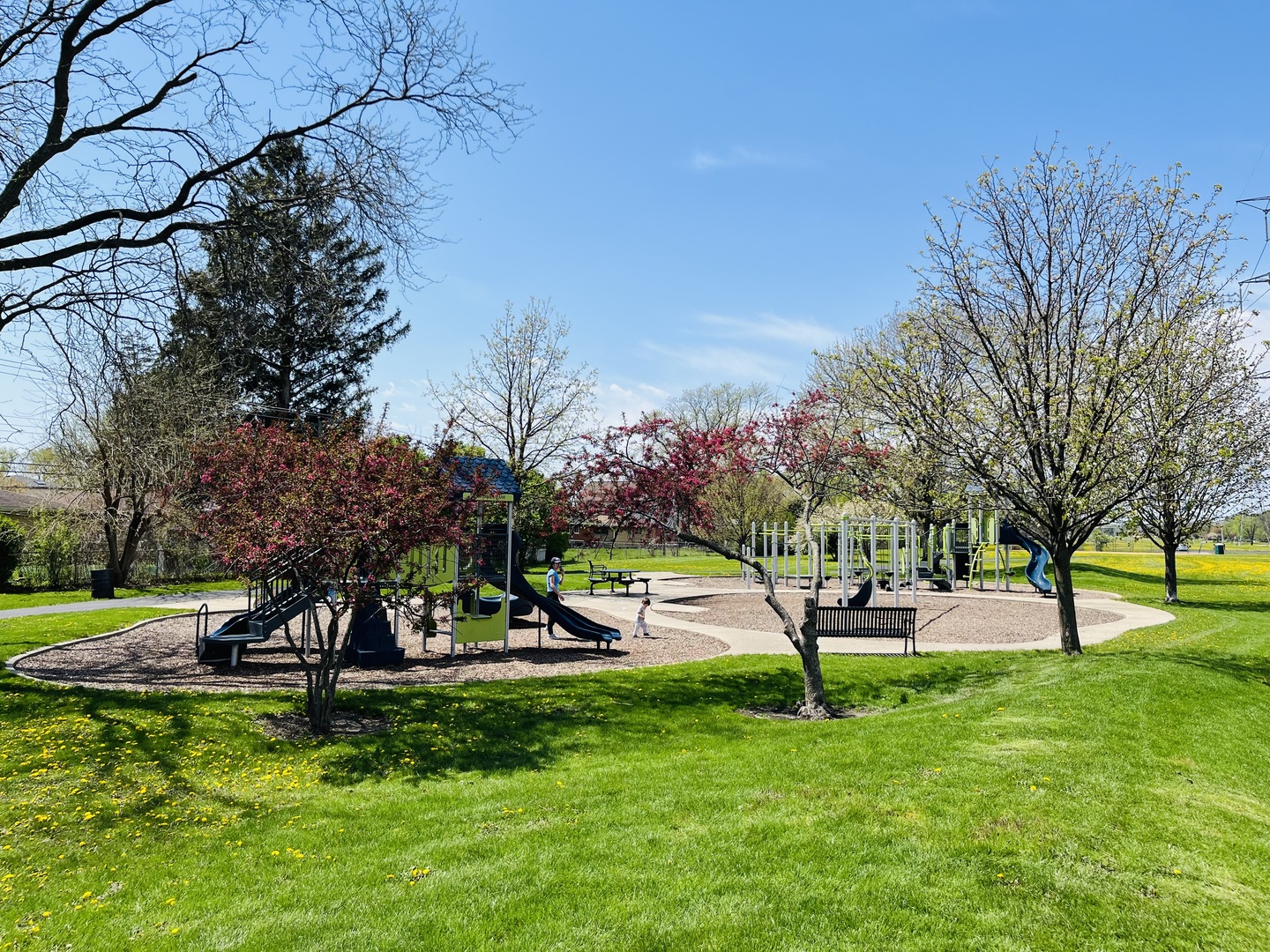 256 W KATHLEEN Drive, Des Plaines, IL 60016