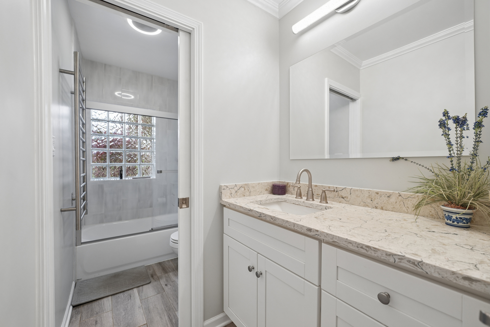 459 E Ridge Avenue, Elmhurst, IL 60126