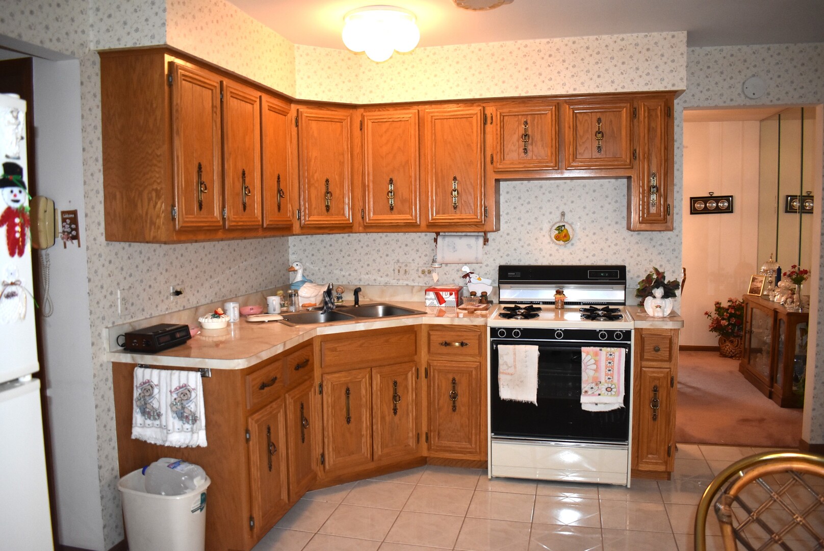 16619 Tudor Lane, Tinley Park, IL 60477