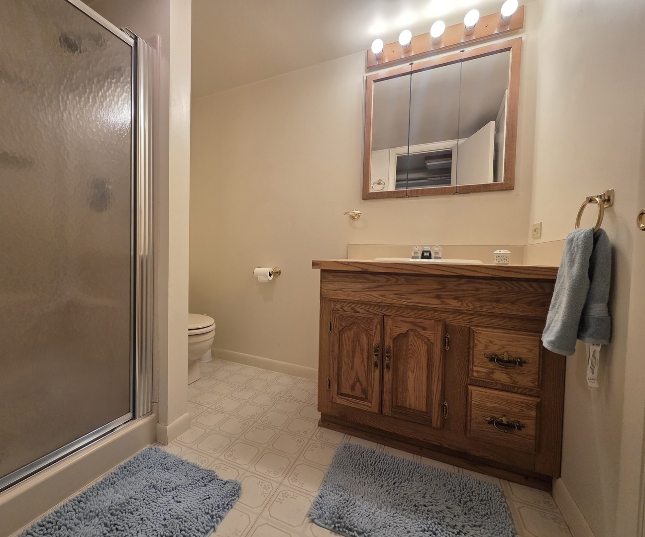 220 S President Street, Wheaton, IL 60187