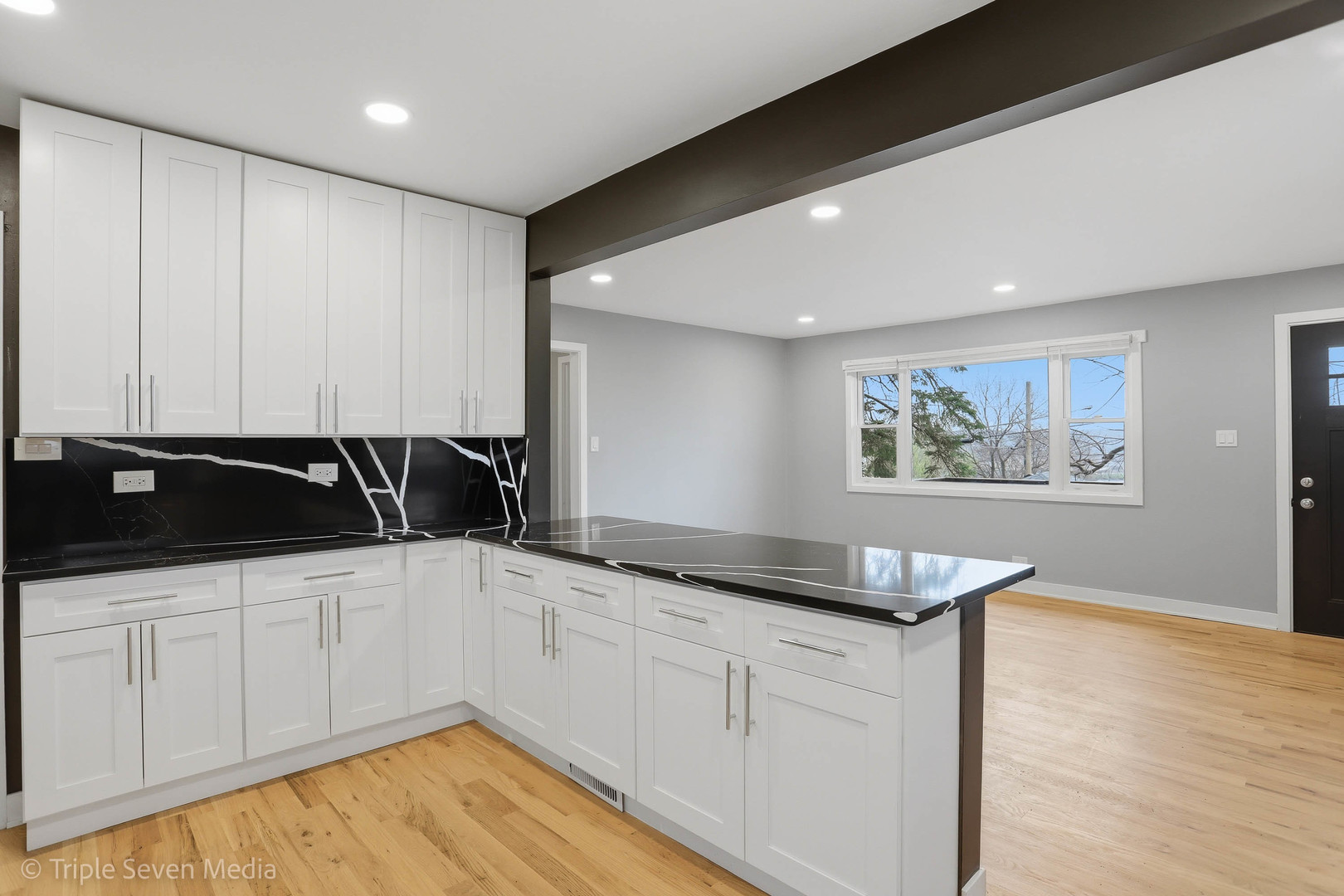 104 E Division Street, Lemont, IL 60439