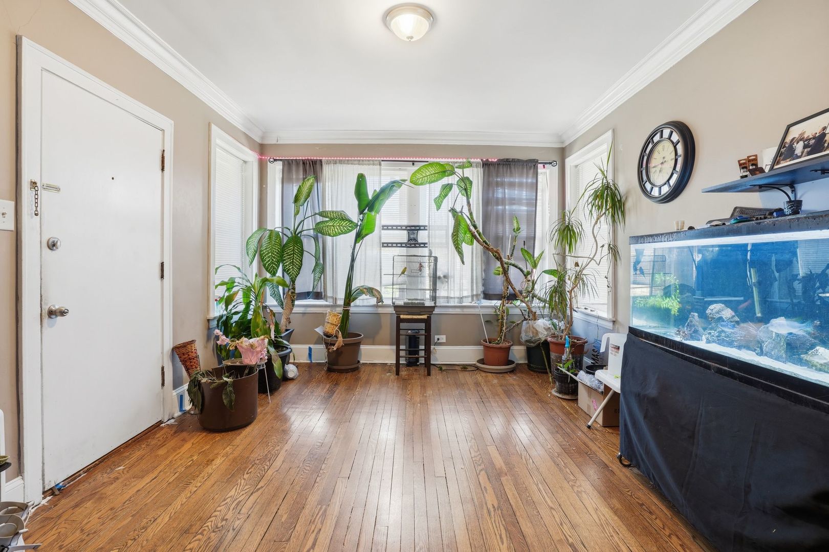 7230 S Talman Avenue, Chicago, IL 60629