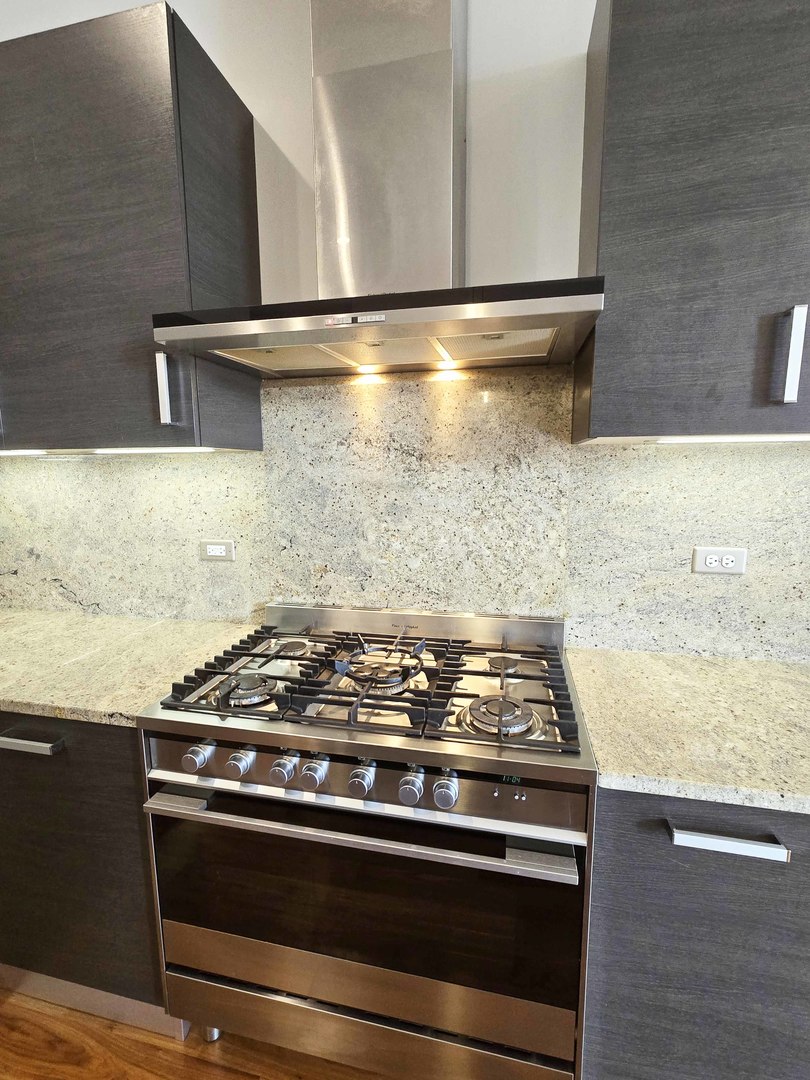 1100 W Adams Street #3N, Chicago, IL 60607