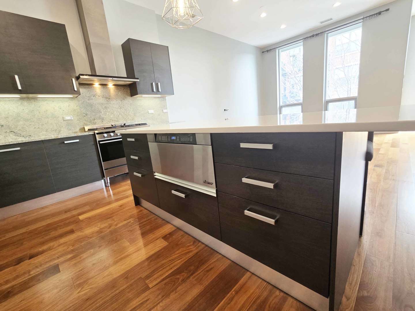 1100 W Adams Street #3N, Chicago, IL 60607