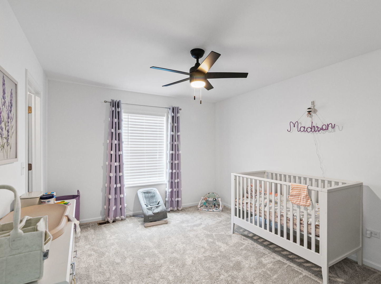 12562 Mullin Street, Huntley, IL 60142