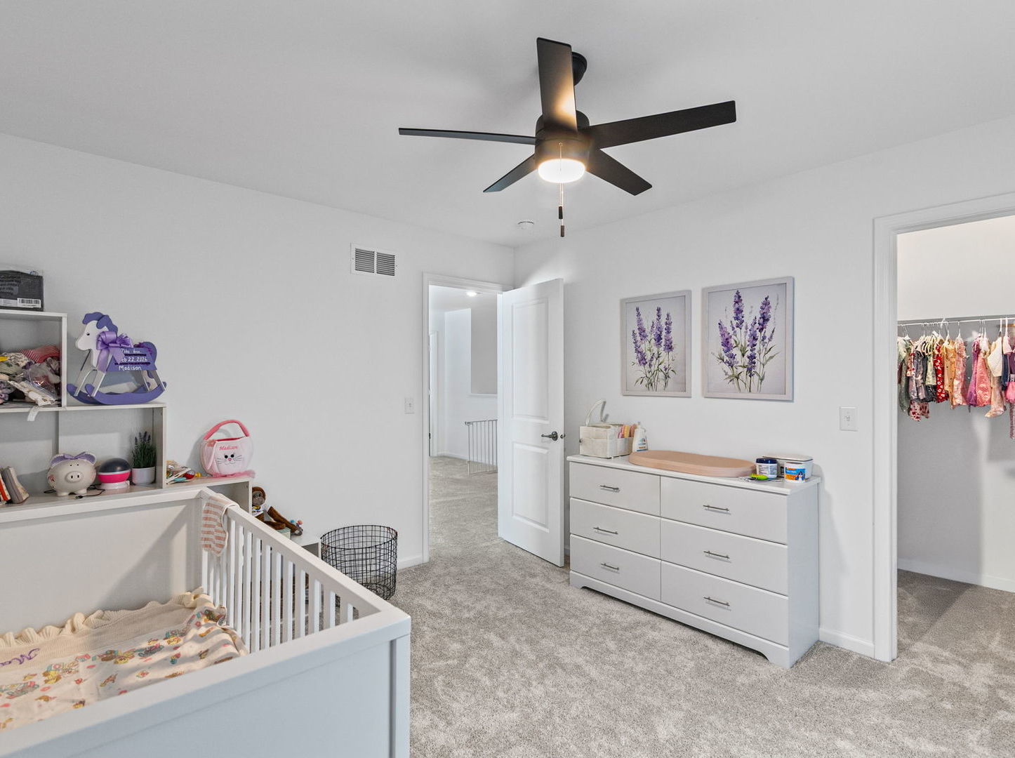 12562 Mullin Street, Huntley, IL 60142