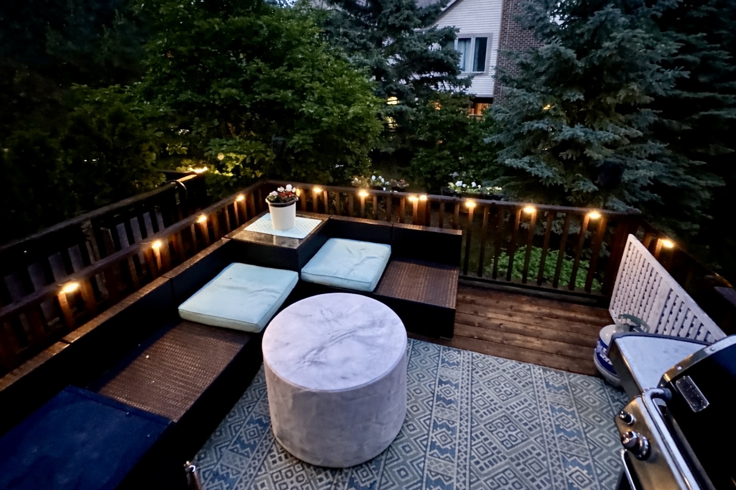 21889 W Talia Lane, Deer Park, IL 60010