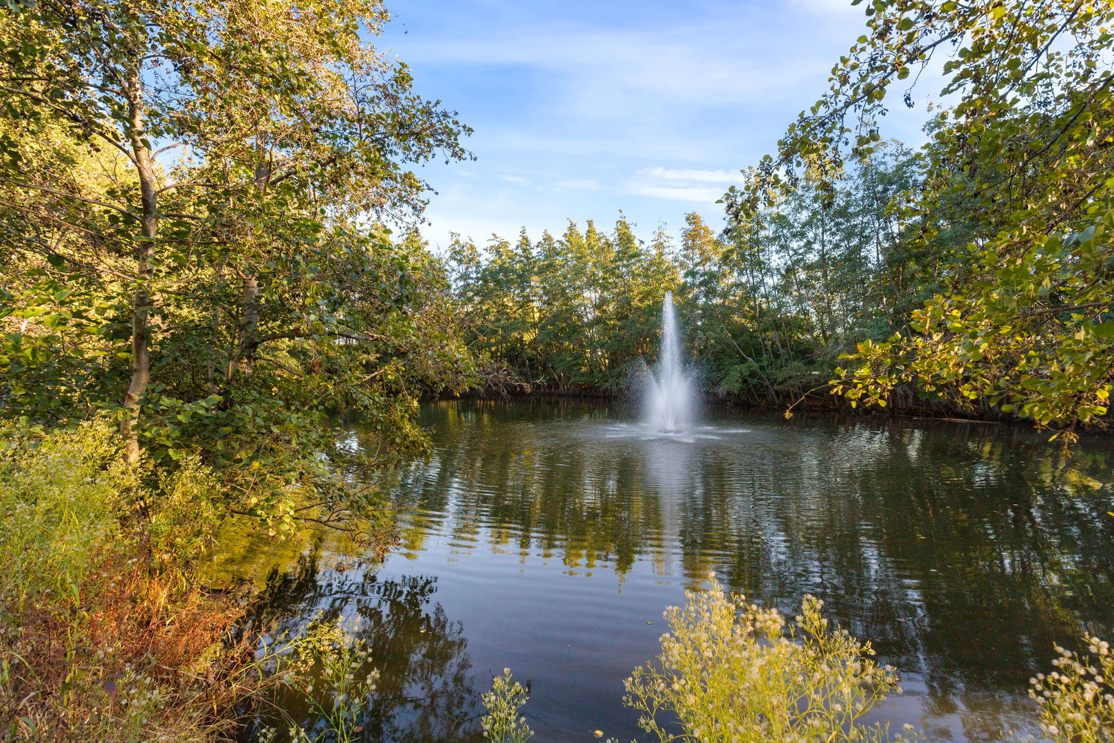 53 Braxton Lane #53, Aurora, IL 60504