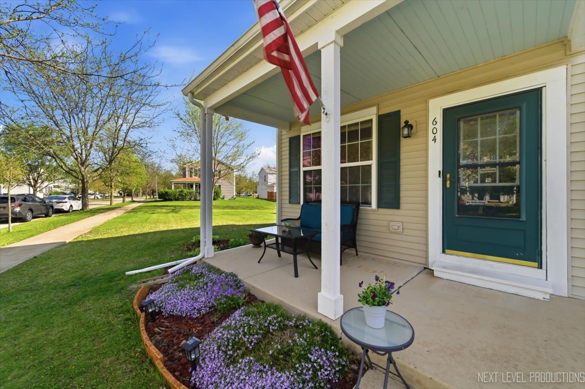 604 Roosevelt Drive, Oswego, IL 60543