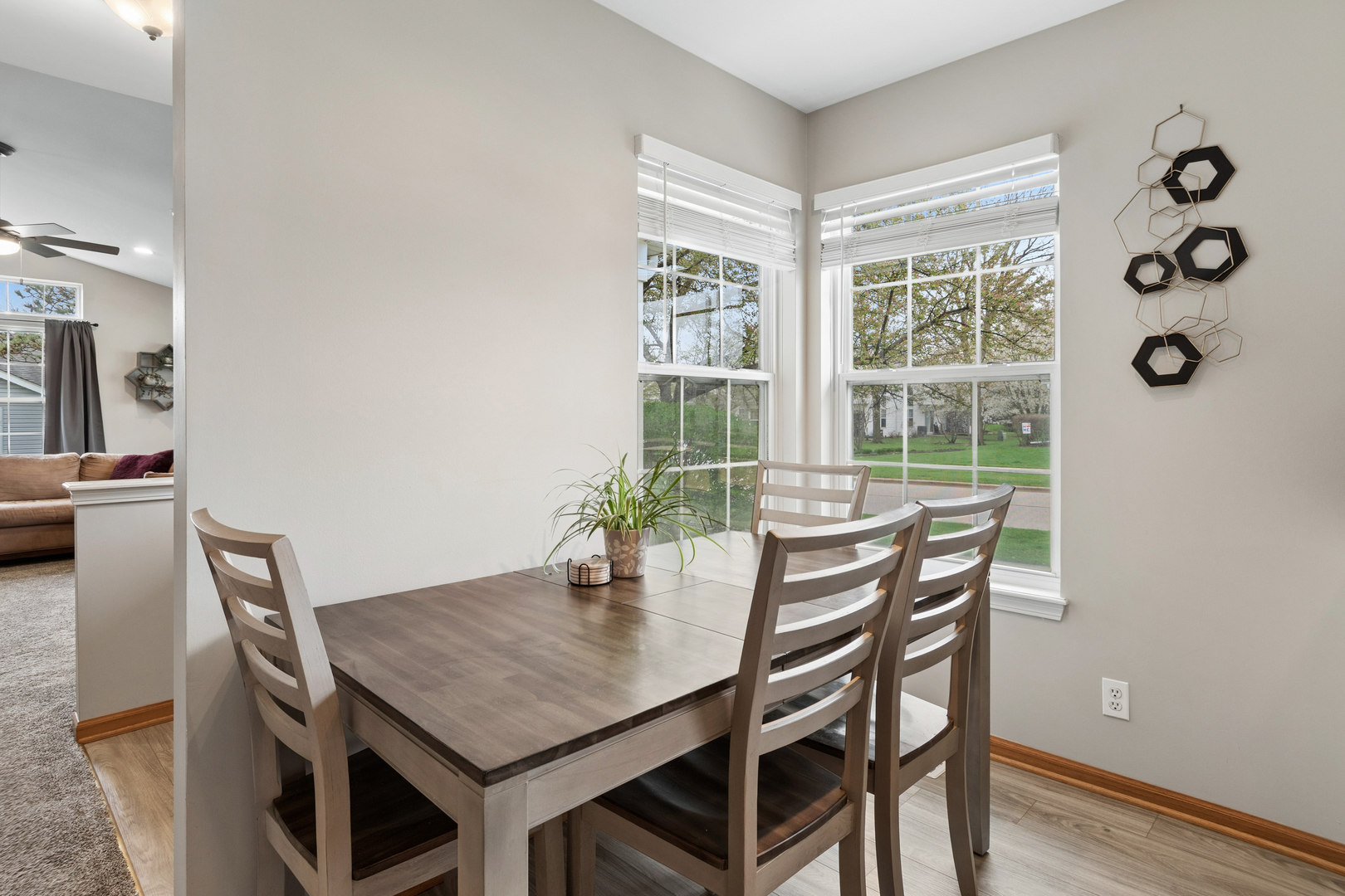 217 Kathryn Lane, North Aurora, IL 60542