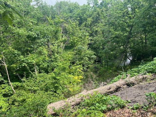 2795 E 28th Lot 773 Road, Seneca, IL 61360