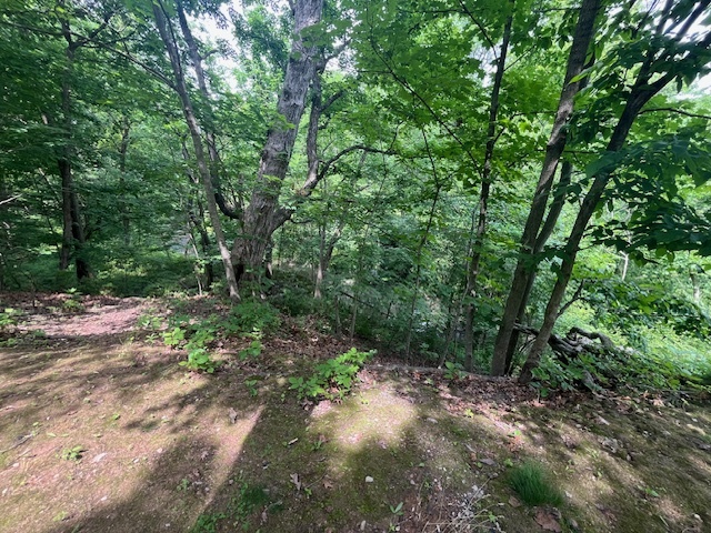 2795 E 28th Lot 773 Road, Seneca, IL 61360