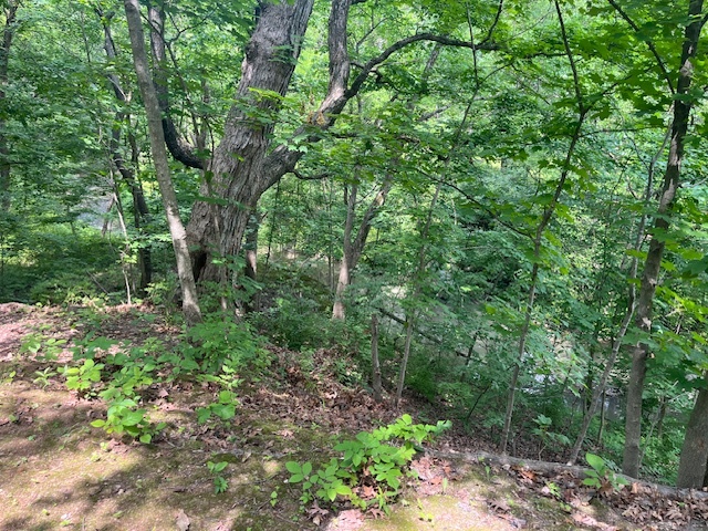 2795 E 28th Lot 773 Road, Seneca, IL 61360