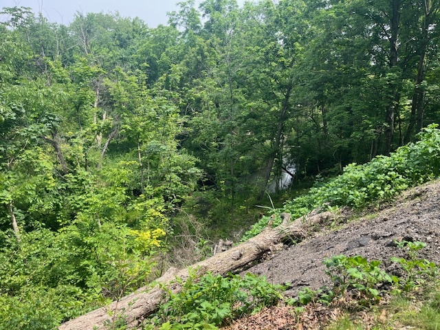 2795 E 28th Lot 773 Road, Seneca, IL 61360