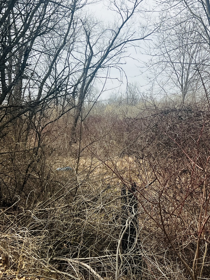 Pembroke Twp, IL 60958